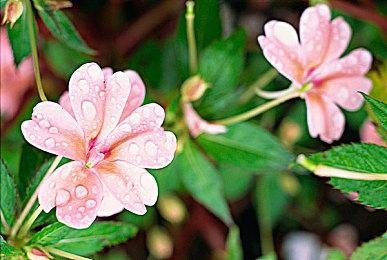 换个角度新体验 《幽灵行动：断点》第一人称MOD发布